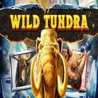 Wild Tundra